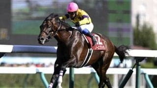 天皇賞(秋)はスローペース必至 ノースブリッジの粘り込みに注