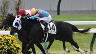 【京都4R新馬戦結果】ゴールデンクラウドが人気2頭の一騎打ちを制す