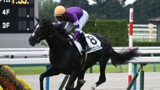 【京都5R新馬戦結果】キズナ産駒リラエンブレムが人気に応えてV