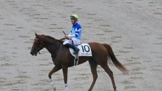 【東京6R】C.デムーロが本日5勝目…良血エヴァンスウィートで抜け出す