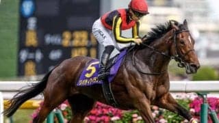 【天皇賞(秋)・馬体重】リバティアイランドは492kg、ドウデュースは504kg(-4)