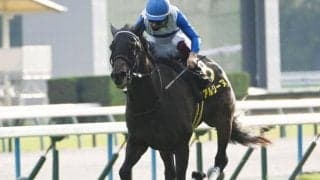 【カシオペアS結果】アルジーヌが押し切りオープン初勝利