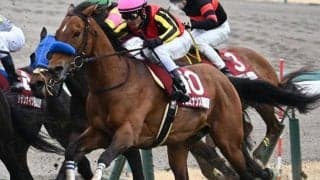 JRAではAR共和国杯など4重賞 米BCに日本馬が多数出走/今週の競馬界の見どころ