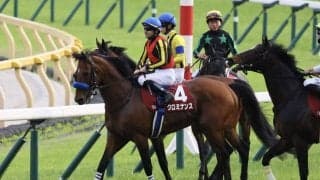 【アルゼンチン共和国杯登録馬】クロミナンスなど16頭