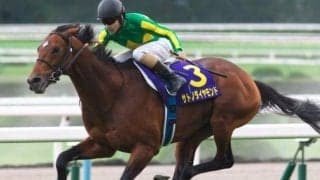 有馬記念優勝馬や最優秀2歳牝馬など活躍馬多数 日本競馬で存在感を増す“アルゼンチン血統”
