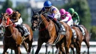 【ファンタジーS見どころ】末脚抜群のカワキタマナレアが重賞初制覇だ