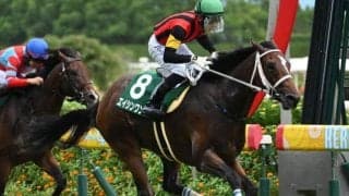 【京王杯2歳S見どころ】好センスのエイシンワンドの3連勝に期待