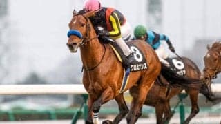 【AR共和国杯想定騎手】クロミナンスは戸崎圭太騎手、サヴォーナは池添謙一騎手