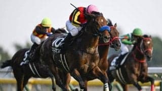 【AR共和国杯見どころ】鉄砲駆けするクロミナンスが主力