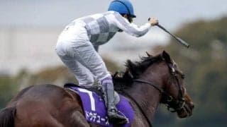 【天皇賞(秋)】売上は233億6861万1400円で昨年より約8000万円減少