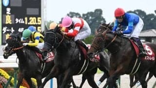 【スワンS】売上は39億2552万3800円で昨年より約7000万円減少