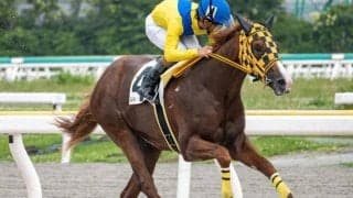 【船橋・平和賞枠順】無傷3連勝中のアッカーマンは6枠6番