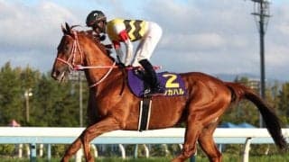 【先週のJRA抹消馬】3億円ホースのテンカハル、良血馬ラリュエルなど