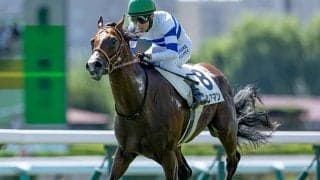 【京王杯2歳S想定騎手】ヒシアマンは藤岡佑介騎手、レモンバームはM.デムーロ騎手