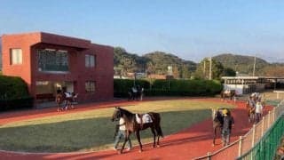 日本唯一の右回りパドックなのはなぜ？ JBC開催の佐賀競馬に聞いてみると