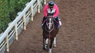 エスタンシアが1週前追い切り 半姉レシステンシアに似た時計の出方/関西馬メイクデビュー情報