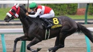 JRA重賞馬の史上最高額更新なるか 2.6億円シルバーステート産駒がアルゼンチン共和国杯で重賞初V狙う