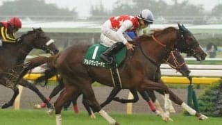 【サウジアラビアRC】アルテヴェローチェがデビュー2連勝…断然人気アルレッキーノは5着