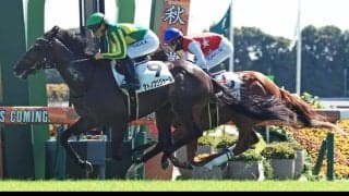 【新馬/京都5R】良血サトノブリジャールがデビューV