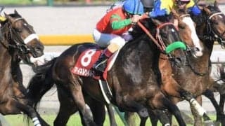 同条件でも両レースVはわずか3頭 AR共和国杯と目黒記念の相関性を調べてみた