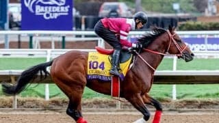 【米・BCクラシック枠順】日本のフォーエバーヤングは1番、ウシュバテソーロは7番、デルマソトガケは6番ゲートに