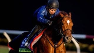 【米・BCマイル枠順】日本のジオグリフは3番、テンハッピーローズは11番ゲートに