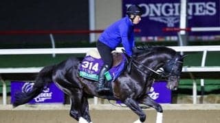 【米・BCターフ枠順】日本のシャフリヤールは3番、ローシャムパークは1番ゲートに