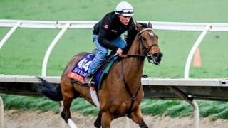 【米・BCF＆Mターフ枠順】ウォーライクゴッデスは4番、木村和士騎手騎乗のハングザムーンは8番ゲートに