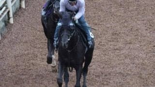 クロワデュノールなど、先週の入厩情報/栗東トレセンニュース