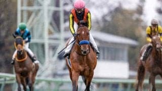 【AR共和国杯予想オッズ】クロミナンスが予想1番人気