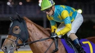 【BCクラシック】昨年2着のデルマソトガケ C.ルメール騎手と今年こそ戴冠なるか