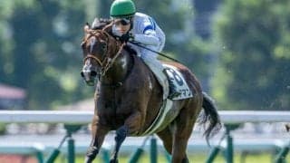 【京王杯2歳S予想オッズ】ヒシアマンが予想1番人気