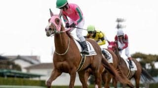 【みやこS予想オッズ】オメガギネスが予想1番人気