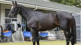 昨年の菊花賞時とはまるで別馬 本格化の兆し感じるAR共和国杯の出走馬とは