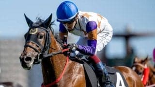 【ファンタジーS予想オッズ】カワキタマナレアが予想1番人気