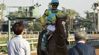 今年こそ偉業達成なるか BCクラシック日本馬挑戦史