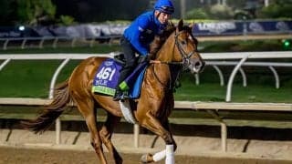 7戦5勝の英G1・2勝馬は「最高レベル」 名伯楽が語ったBCマイルへの手応えとは