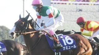 【マイルCS想定】ナミュール、英国馬チャリンなど12頭