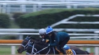 キングズソード、JBCクラシック最終追い切り速報/栗東トレセンニュース