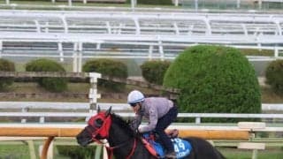 サンライズホーク、武蔵野S1週前追い切り速報/栗東トレセンニュース