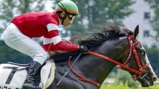 藤田晋オーナー所有の米G1覇者初年度産駒 京王杯2歳Sで重賞ウイナーとなるか