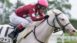 次代の“白毛のアイドル”へ ファンタジーSで無傷2連勝での重賞Vなるか