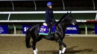 【BCターフ】2年連続出走シャフリヤールは3番ゲートから