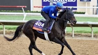 【BCフィリー＆メアターフ】シンデレラズドリームなど強力欧州勢が揃う