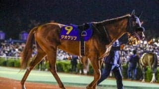 メインに負けない好メンバー集結 ジオグリフとテンハッピーローズが挑むBCマイルを展望