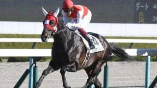 【AR共和国杯予想】上位人気馬の信頼度が高い一戦 AIが狙うのは伸びしろある一頭