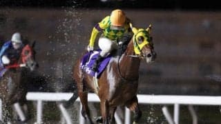 【船橋・平和賞結果】北海道のウィルオレオールが重賞初制覇