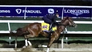 【ブリーダーズカップ】デルマソトガケ体調も万全…出走各馬追い切り