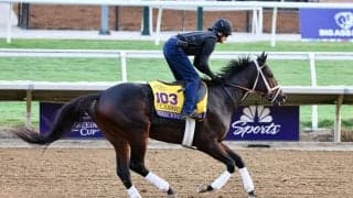 【BCクラシック】米フィアースネス陣営「枠順には満足している」