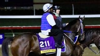 【BCディスタフ】オーサムリザルトのライバル、ソーピードアンナは軽めの調整